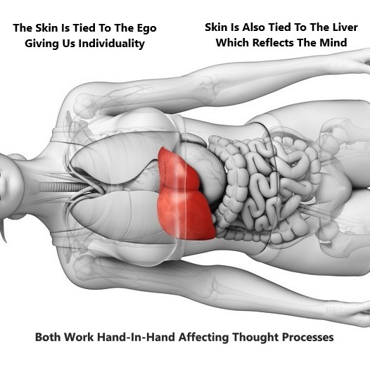 Liver Skin Connection